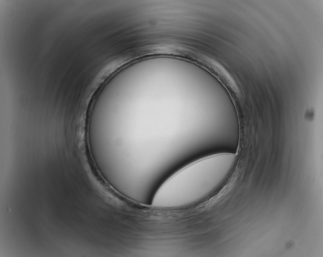 X0000103330938200809051019
