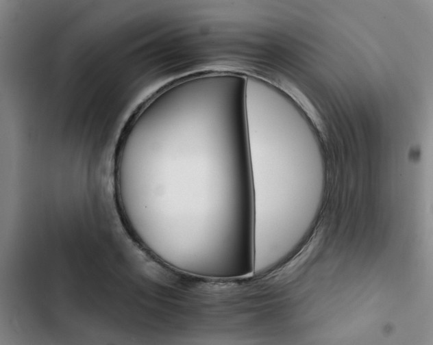 X0000103330939200809051019
