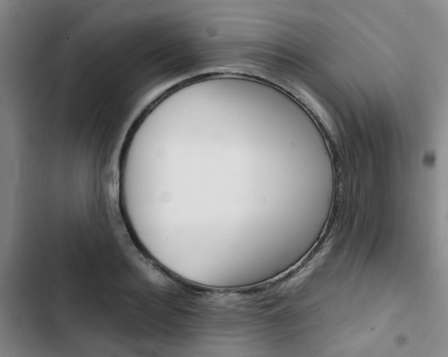 X0000103330940200809051019
