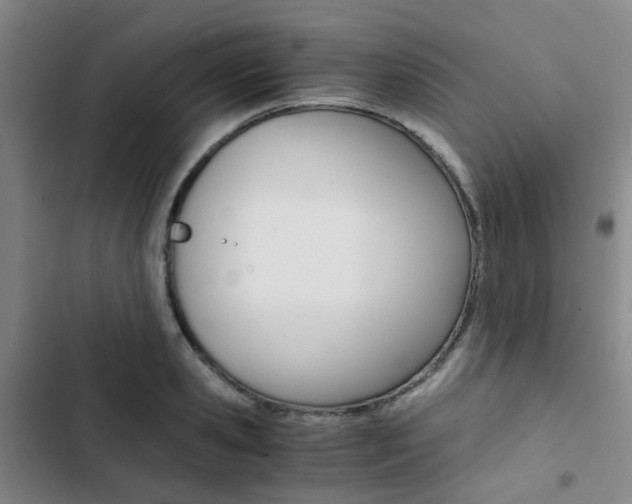 X0000103330941200809051019