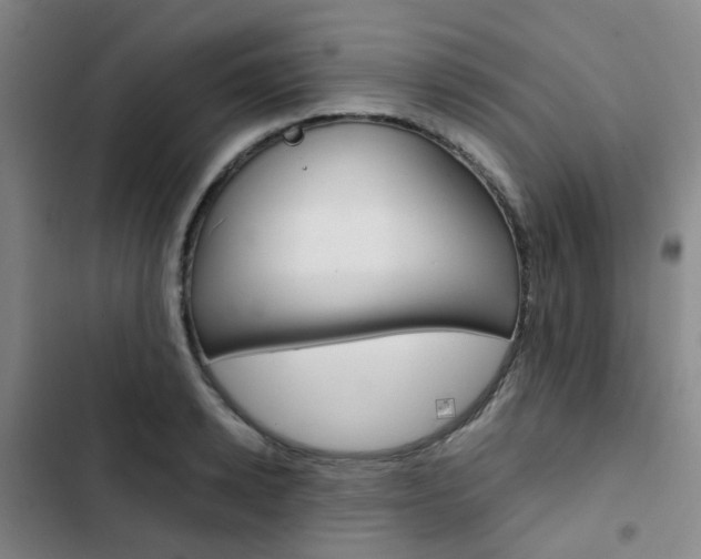 X0000103330942200809051019