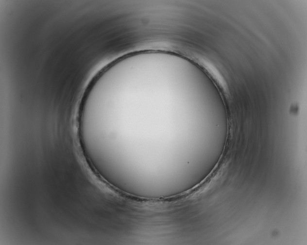 X0000103330944200809051019