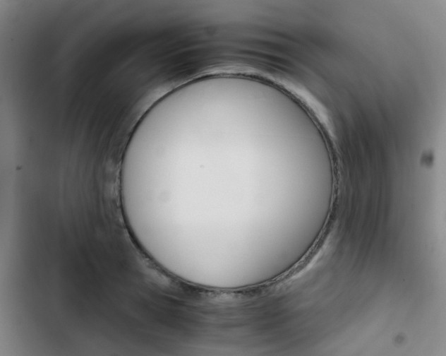 X0000103330945200809051019