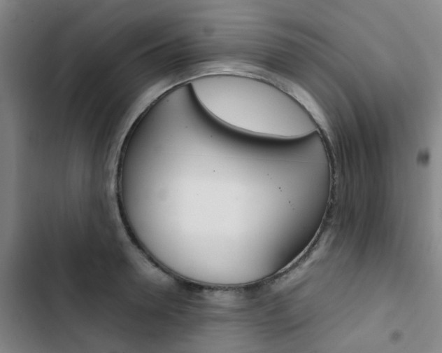 X0000103330946200809051019