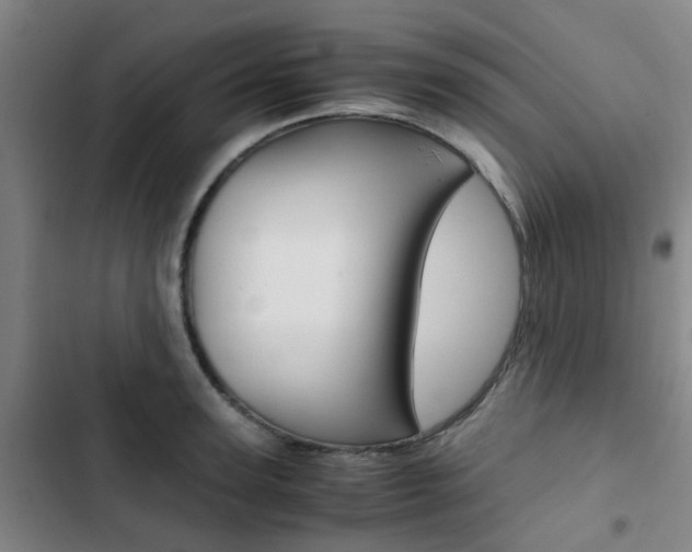X0000103330947200809051019