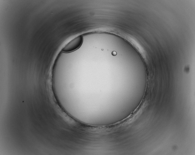 X0000103330948200809051019