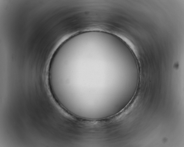 X0000103330949200809051019