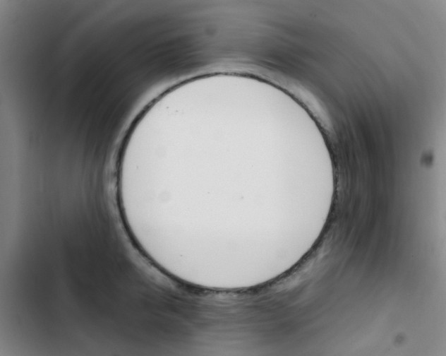 X0000103330950200809051019