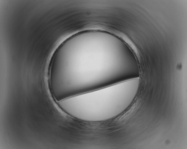 X0000103330951200809051019