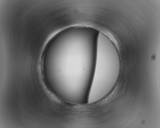 X0000103330952200809051019