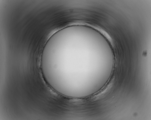 X0000103330953200809051019
