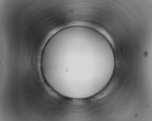 X0000103330954200809051019