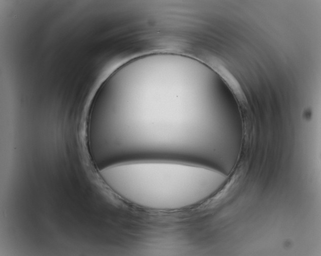X0000103330956200809051019