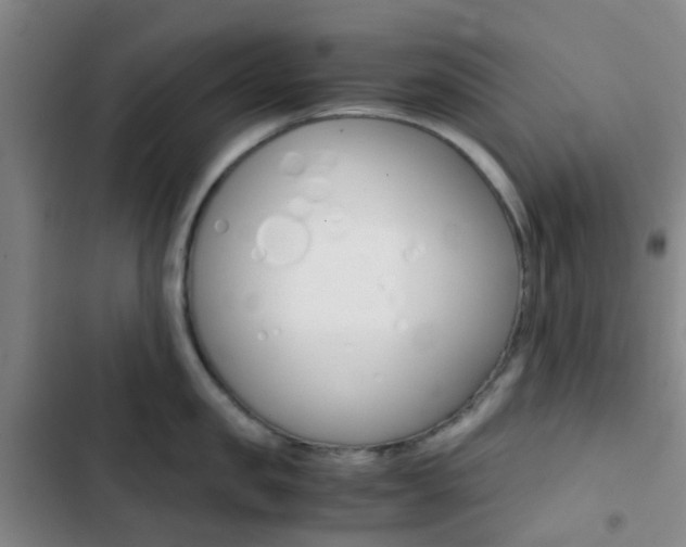 X0000103330957200809051019