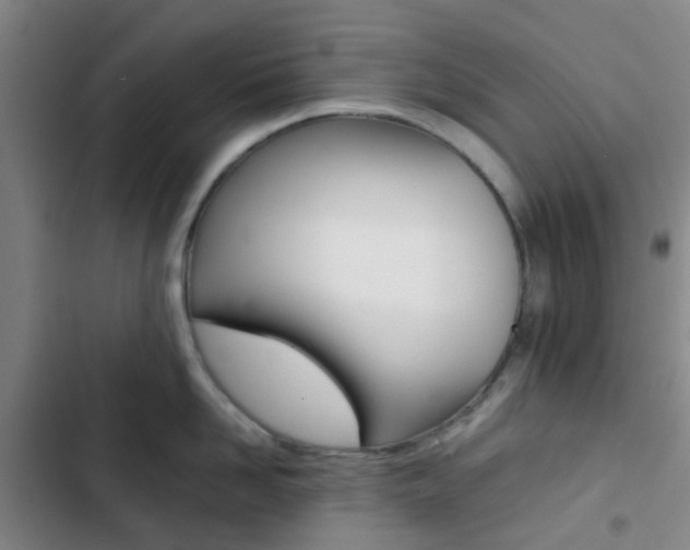 X0000103330958200809051019