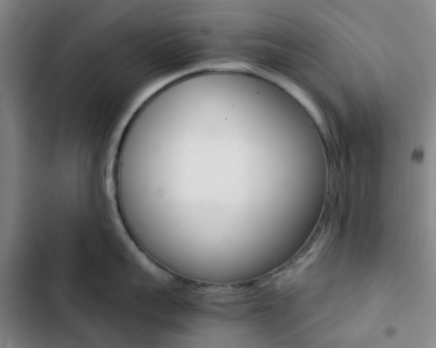 X0000103330959200809051019