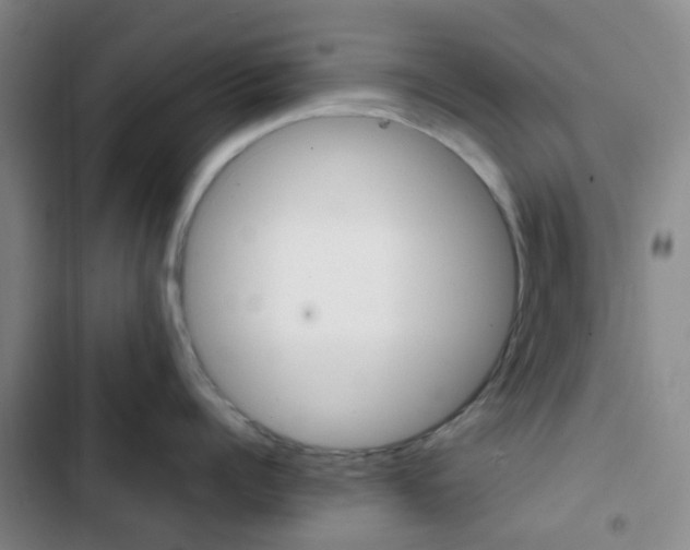 X0000103330960200809051019