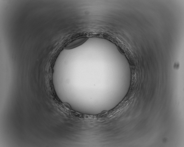 X0000103330961200809051018
