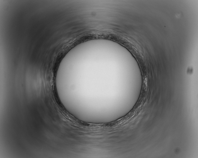 X0000103330963200809051018