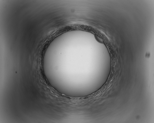 X0000103330965200809051018