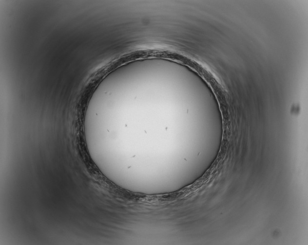 X0000103330967200809051018