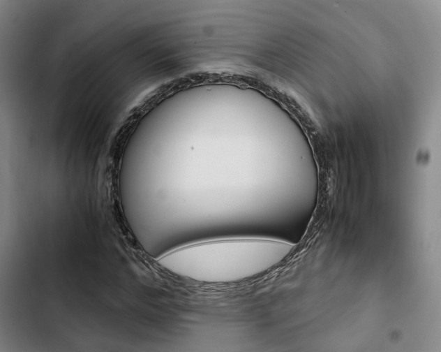 X0000103330968200809051018