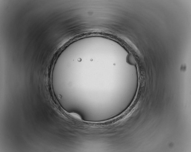 X0000103330969200809051018