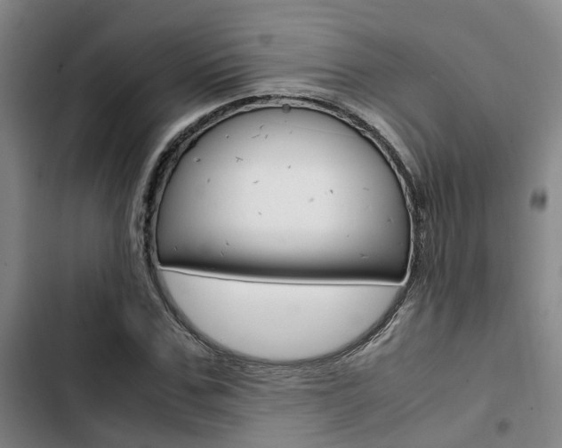 X0000103330971200809051018