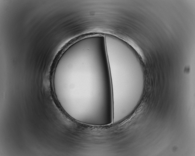 X0000103330972200809051018