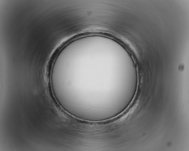 X0000103330973200809051018