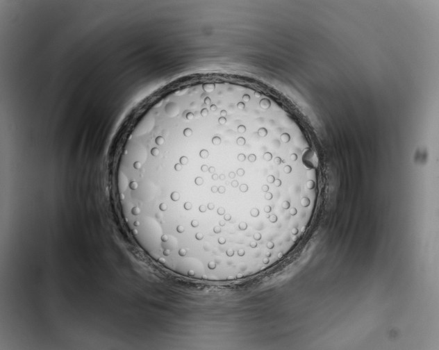 X0000103330974200809051018