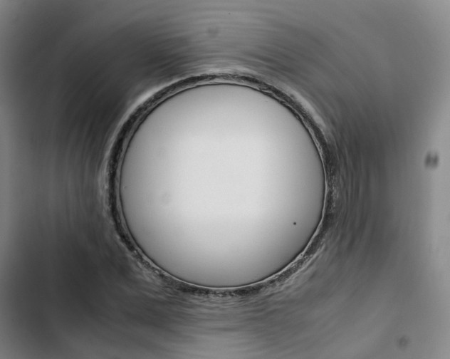 X0000103330975200809051018