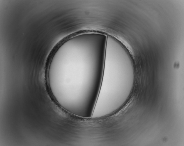 X0000103330976200809051018