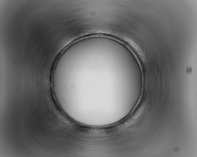 X0000103330977200809051018