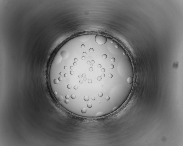 X0000103330978200809051018
