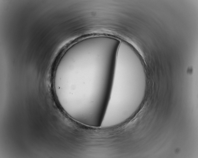 X0000103330979200809051018