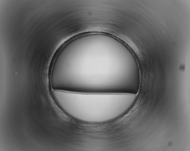 X0000103330980200809051018