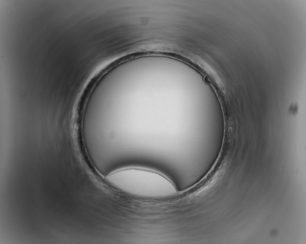 X0000103330981200809051018