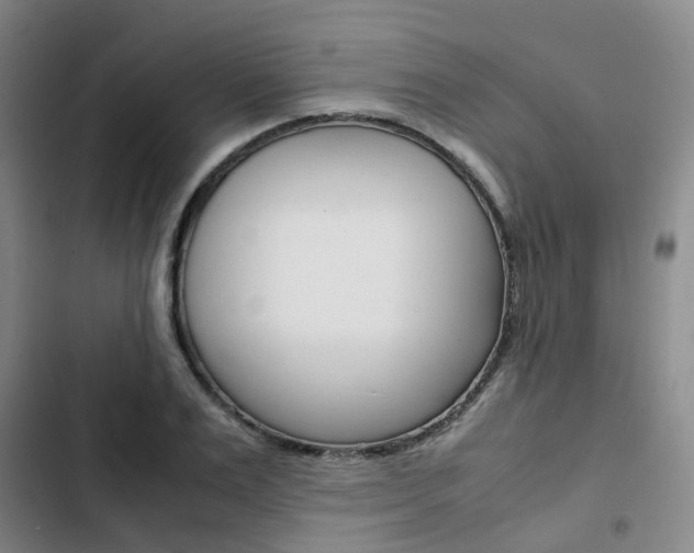 X0000103330983200809051018