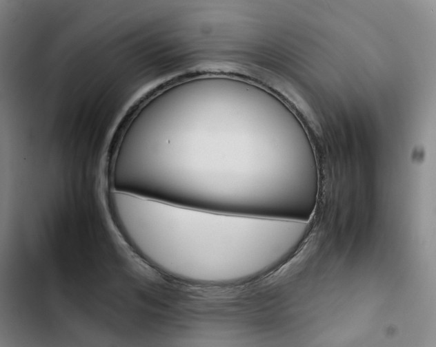 X0000103330984200809051018