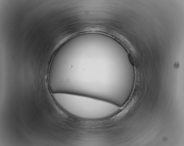 X0000103330985200809051018