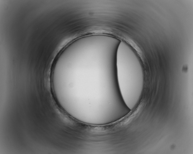 X0000103330986200809051018