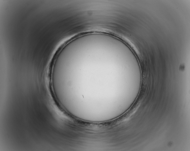 X0000103330987200809051018
