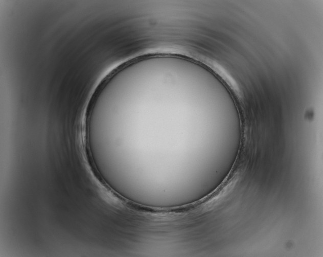 X0000103330988200809051018