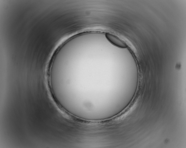 X0000103330989200809051018