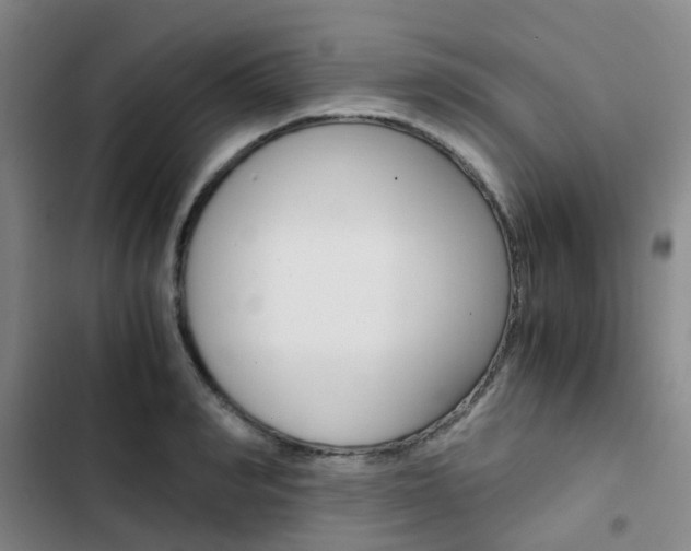 X0000103330990200809051018