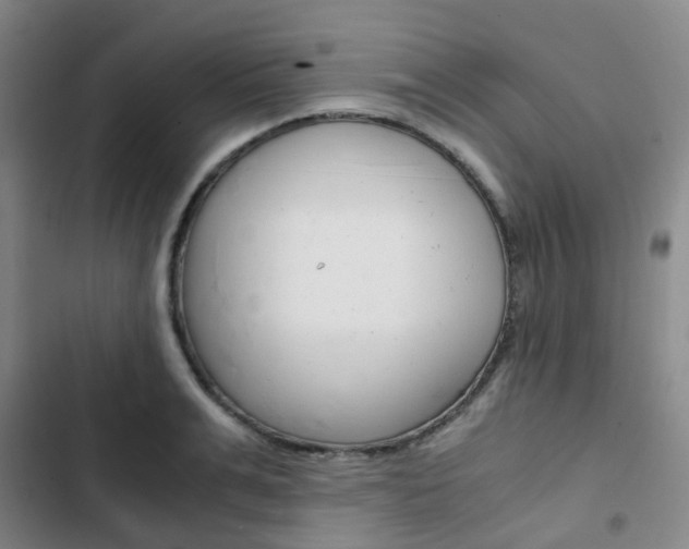X0000103330991200809051018