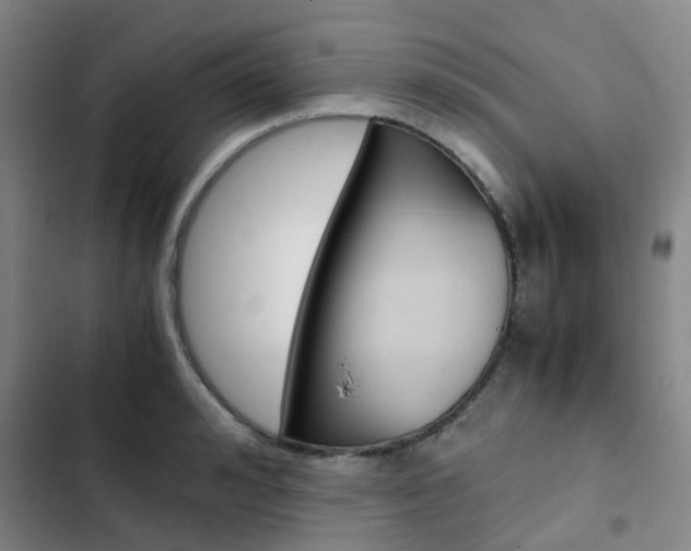 X0000103330992200809051018