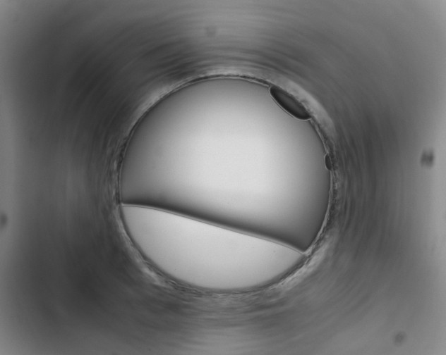 X0000103330993200809051018