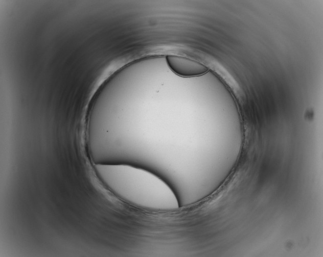 X0000103330994200809051018